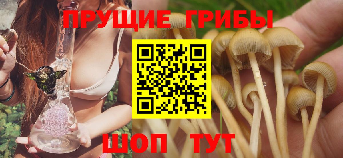 Галлюциногенные грибы GOLDEN TEACHER  Галлюциногенные грибы Magic Shrooms  Вход с VPN  Строитель 