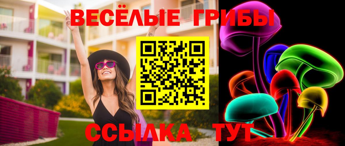 Галлюциногенные грибы мицелий Строитель